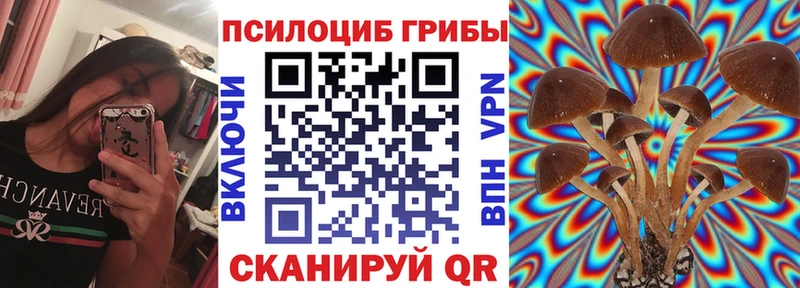 купить  цена  Дзержинский  Псилоцибиновые грибы мухоморы 